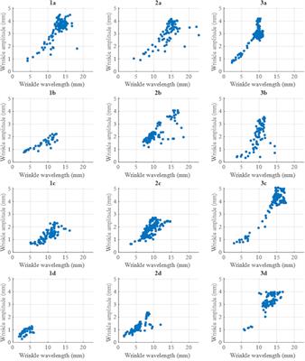Influence of NCF architecture on the morphology of forming induced wrinkling